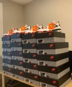wholesale sneaker pallets Germany